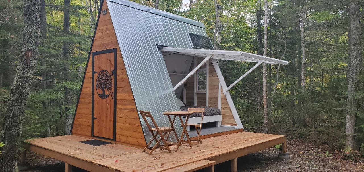 La Cabane Secrete Matane Exterior foto