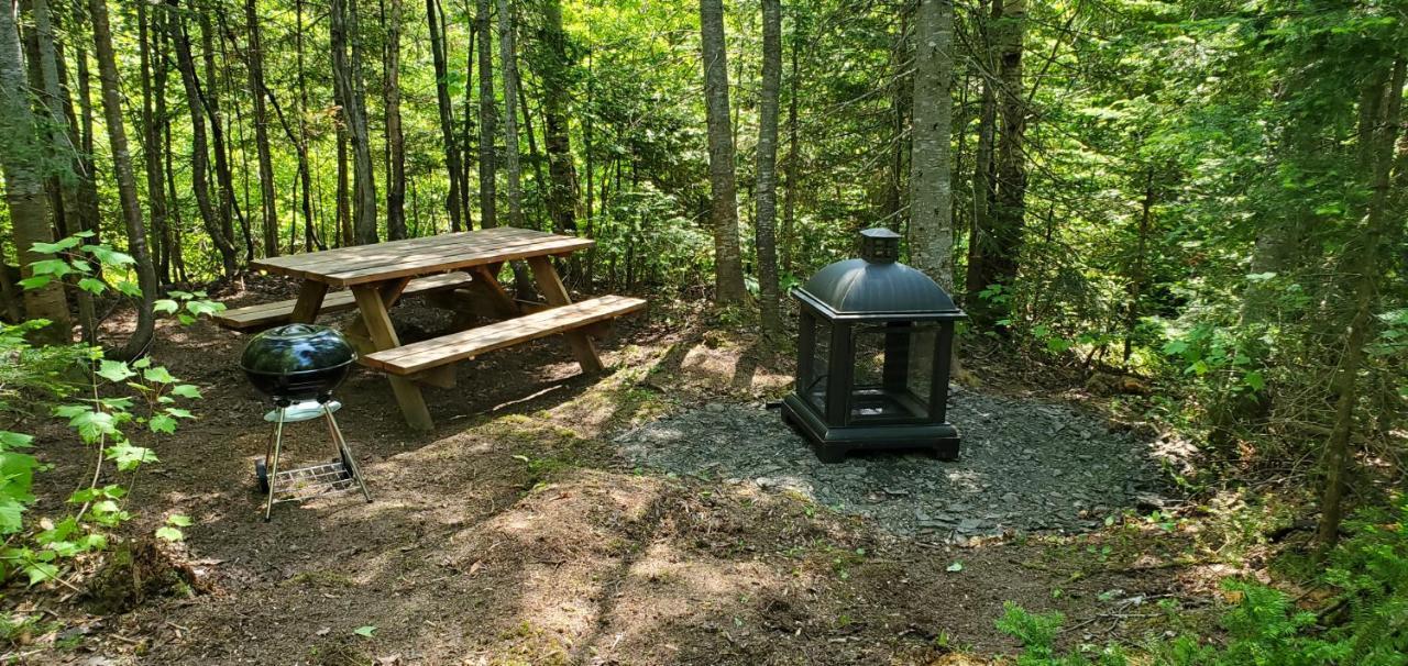 La Cabane Secrete Matane Exterior foto